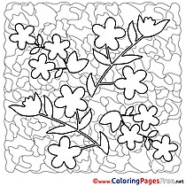 Flowers free Colouring Page Spring