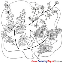 Flowers Kids Spring Coloring Pages