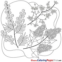 Flowers Kids Spring Coloring Pages