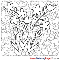 Flowers Spring Coloring Pages free