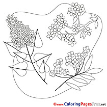 For Kids Spring Colouring Page Flowers free