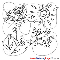 For Kids Spring download Sun Flowers Coloring Pages