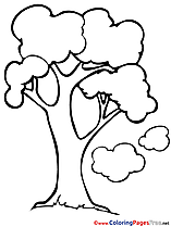 Free Tree Colouring Sheet download Spring