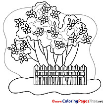 Front Garden free Spring Coloring Sheets