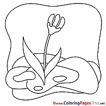 Illustration Flower Children Spring Colouring Page