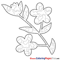 Image Flower printable Spring Coloring Sheets