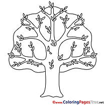 Printable Tree Coloring Pages Spring