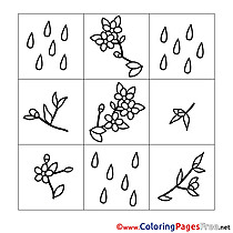Rain Colouring Sheet download Spring
