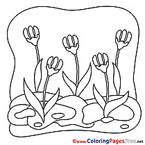 Spring free Flowers Coloring Pages