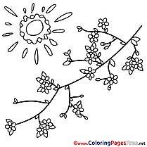 Spring Sun Colouring Sheet free