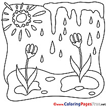 Sun Spring free Coloring Pages Rain