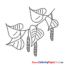 Tree Flowers printable Coloring Pages Spring