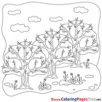 Trees download Spring Coloring Pages