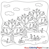 Trees download Spring Coloring Pages
