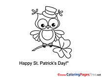 Clover Owl printable St. Patricks Day Coloring Sheets