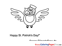 Owl Coloring Pages St. Patricks Day