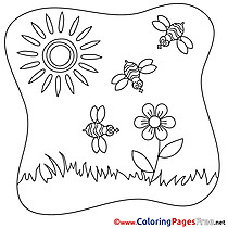 Summer coloring pages