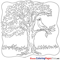 Bird Colouring Page Tree Summer free