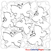 Colouring Page Butterflies Summer free