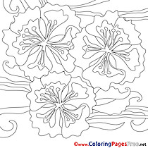 Flowers printable Coloring Pages Summer