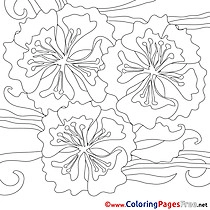 Flowers printable Coloring Pages Summer