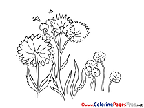 Flowers Summer free Coloring Pages