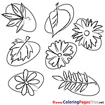 Leaves for Kids Summer Colouring Page