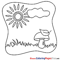 Mushroom Coloring Sheets Grass Summer free