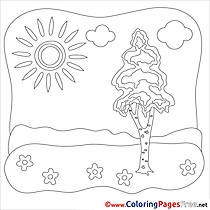 Nature Summer Coloring Pages Tree download