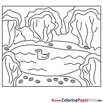Pond printable Summer Coloring Sheets Duck