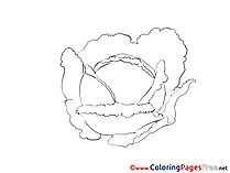 Cabbage for free Coloring Pages download