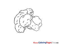 Cauliflower Colouring Page printable free