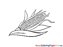 Corn Coloring Sheets download free