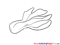 Free Colouring Page download Vegetable