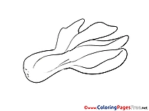 Free Colouring Page download Vegetable