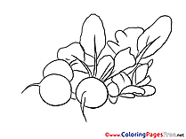 Radish Children Coloring Pages free