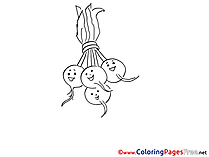 Radish Coloring Pages for free