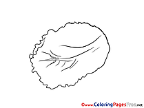 Salad Coloring Sheets download free