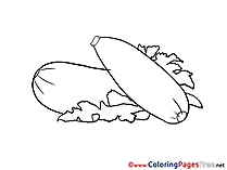 Zucchini Coloring Pages for free