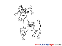 Deer Winter Colouring Sheet free