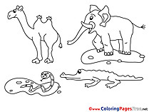 Animals free Colouring Page download