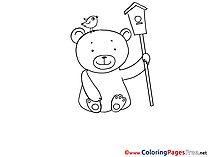 Birdhouse Bear download printable Coloring Sheets