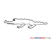 Crocodile free printable Coloring Sheets