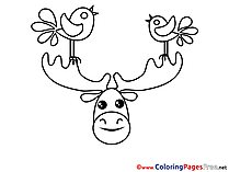 Deer Birds free printable Coloring Sheets