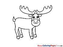 Deer download Colouring Sheet free