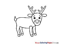 Deer download printable Coloring Pages