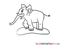 Zoo coloring pages