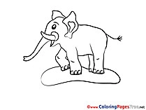Zoo coloring pages