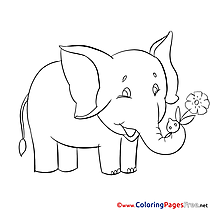 Elephant Coloring Sheets download free