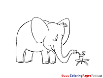 Free Elephant Colouring Page download